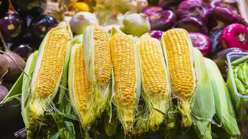 主要农产品期货品种 - ultima markets