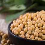 大豆期货交易全攻略：从入门到精通掌握价格波动与投资技巧