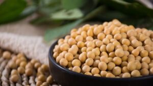 大豆期货交易全攻略：从入门到精通掌握价格波动与投资技巧