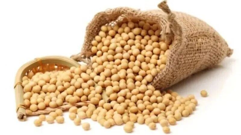 大豆期货合约规格 - ultima markets