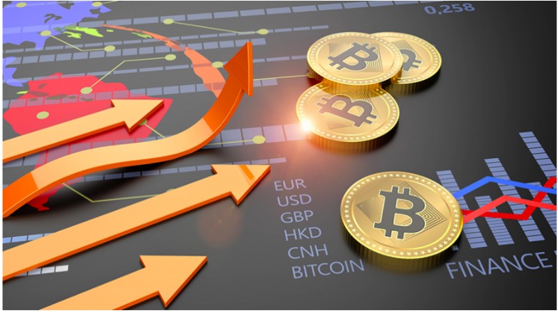 加密资产管理多元化投资组合配置 - ultima markets