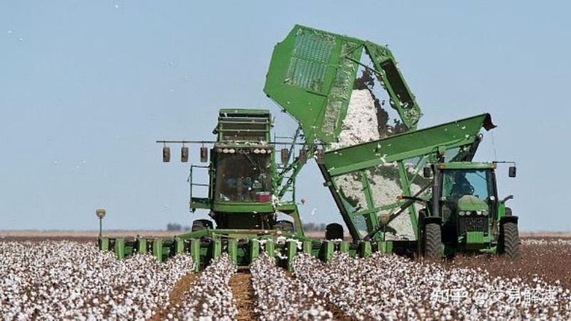 影响棉花期货价格的核心驱动因素 - ultima markets