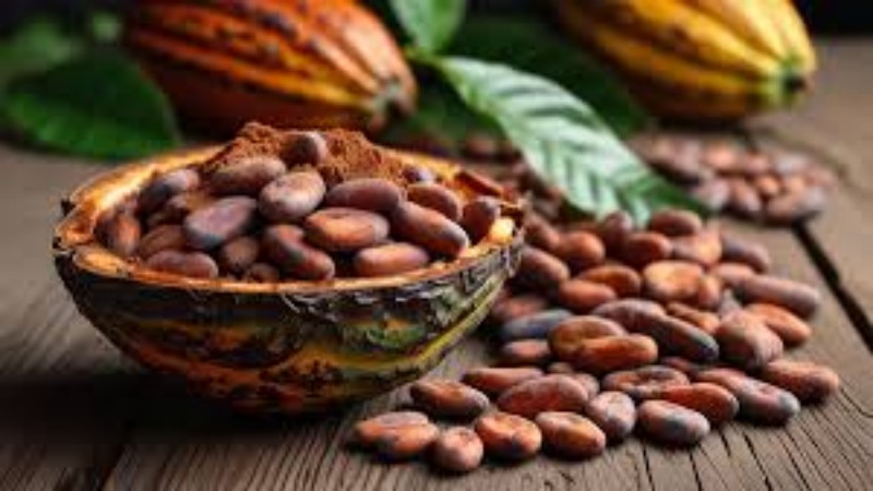 大宗商品价格交易策略与风控技巧 - ultima markets