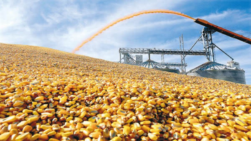 玉米期货风险管理 - ultima markets